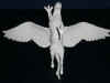 Hippogriff_Male_6_Small.JPG (28793 bytes)