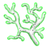 Crafting/CoralGlow.png