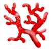 Crafting/CoralRed.png