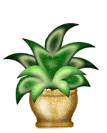 broadleaf