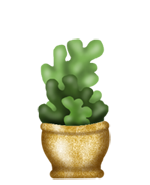 Seaweed