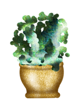 Seasilk
