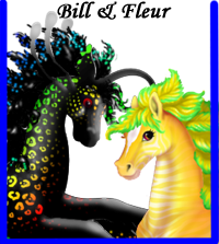 Images%20Web/Bonded_Tasmen6.png