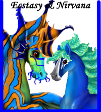 Images%20Web/Bonded_Vivianes2.png