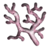 Pink Coral