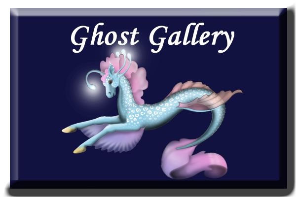 gallery Ghost.