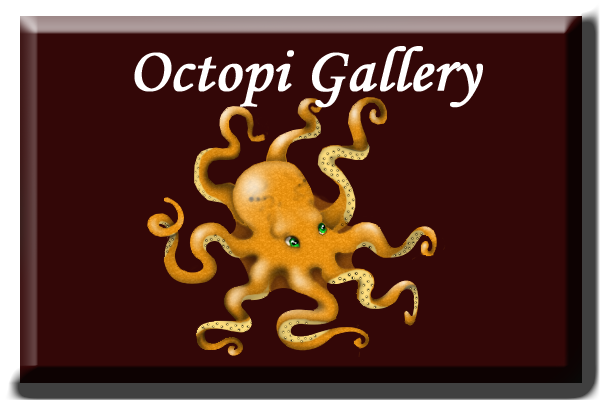 gallery octopi.