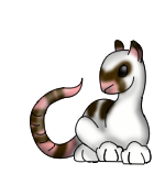 Images%20Web/RarretWhite.png