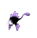 Images%20Web/Seawee07.png