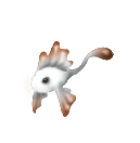 Images%20Web/Seawee09.png