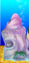 Images%20Web/Shops_01.jpg