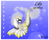 MiniCert169 copy.png (98953 bytes)