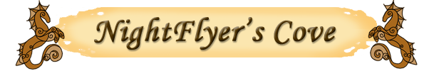 Images/Owner_BannerNightflyer_copy.png