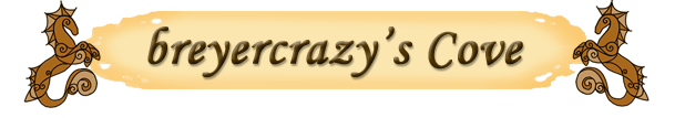 Images/Owner_Bannerbreyercrazy.png