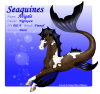 Seaquine002F_copy.png (239022 bytes)
