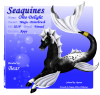 Seaquine021F_copy.png (238303 bytes)