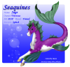 Seaquine033F_copy.png (267430 bytes)