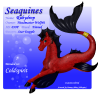 Seaquine039F copy.png (245013 bytes)