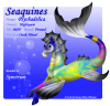 Seaquine060F_copy.png (278519 bytes)