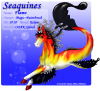 Seaquine071F_copy.png (271785 bytes)