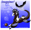 Seaquine092f_copy.png (264724 bytes)