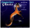 Seaquine232f copy.png (265484 bytes)