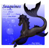 Seaquine287F copy.png (227760 bytes)
